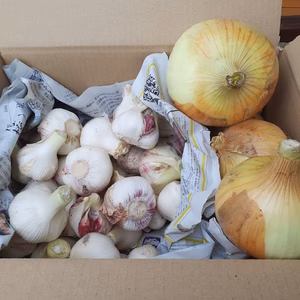 ニンニク と 玉ねぎのセット