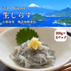 【母の日ギフト】 生しらす 沼津産 しらす 生シラス いわし稚魚 刺身 魚 冷凍