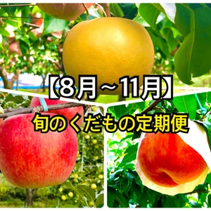 【8月〜11月】旬の果物おまかせ定期便（3kg入り）ご家庭用