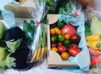 みんなの投稿の画像