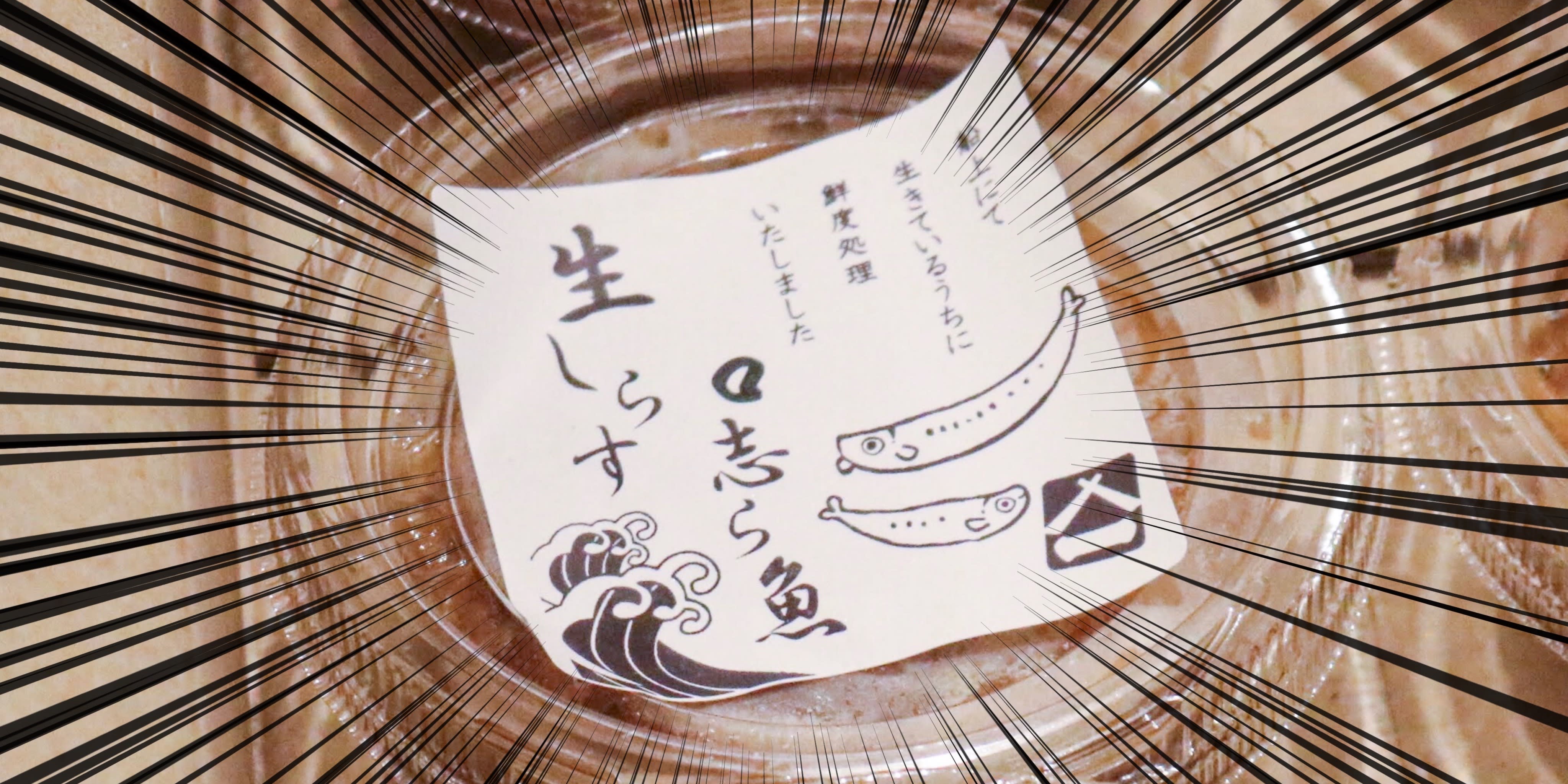 しらすとシラウオの 違い探し 沖漬けの食べ比べをたしなんでみた 農家漁師から産地直送の通販 ポケットマルシェ