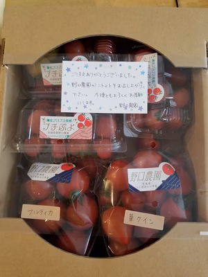 みんなの投稿の画像