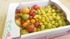 【TM1.8】ティポ & カラフルフルーツトマト　たっぷり1.8㎏　