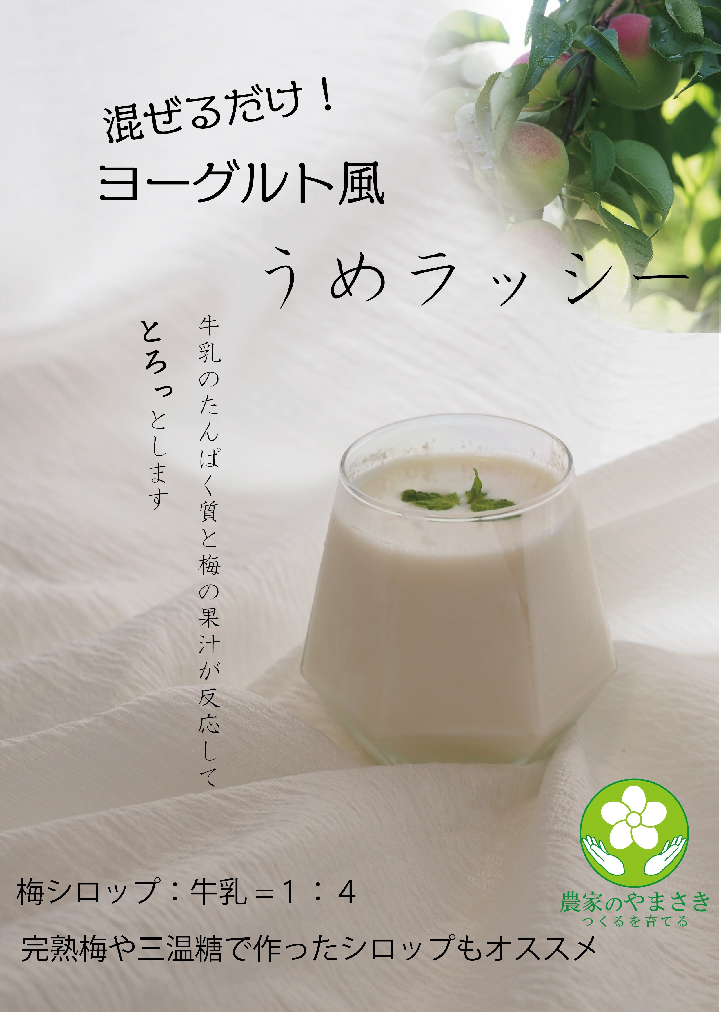 紀州南高梅 青梅2～10kg｜梅酒・梅シロップに最適｜梅（うめ）の商品