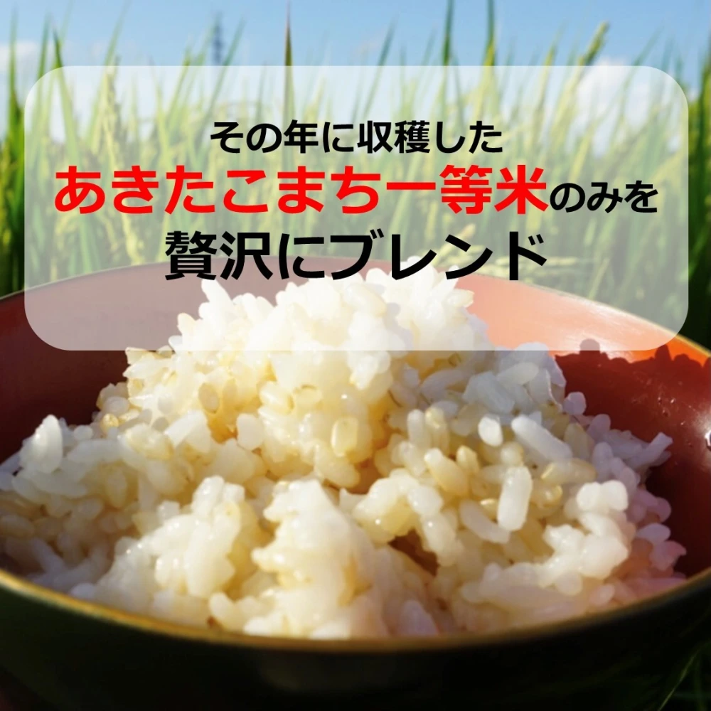 送料無料【ダイエットのお米】乳酸菌あきたこまち玄米パックごはん｜米