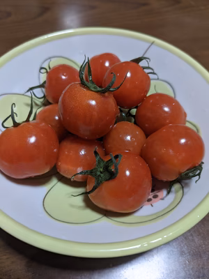 みんなの投稿の画像