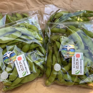 【おまけ付】始まりまります！朝採りえだ豆500ｇ～　湯上り娘　農薬不使用