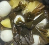 三陸産　天日干し　結び昆布　40g 