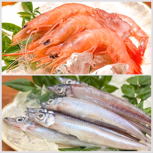 【母の日ギフト】旨みたっぷり！甘いトロえび中と多くの料理で活躍するメギスのセット