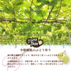 贈答用＊超大粒シャインマスカット1房＊700g7月下旬【ポケマルの夏ギフト】