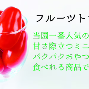 当園一番人気のフルーツトマト♪おやつ代わりにパクパク止まらない!!