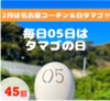 毎月05日はタマゴの日‼　×45個!!【コーチン＆白タマゴMIX】