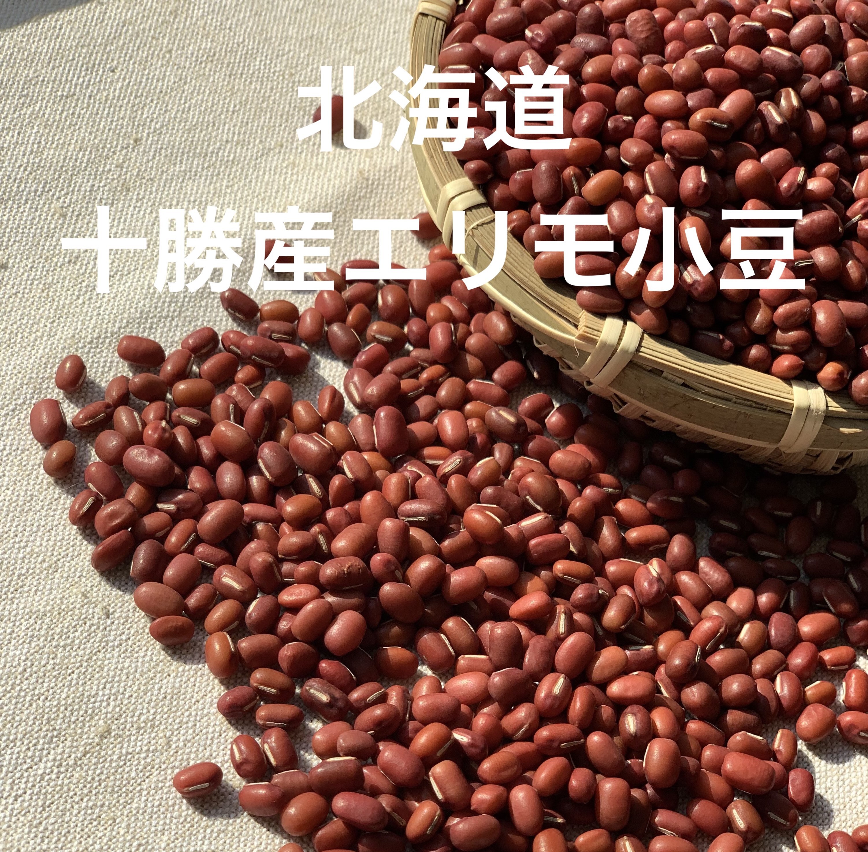 令和2年収穫 北海道産 えりも小豆 10kg