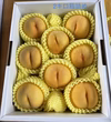 黄金に輝く　希少品種☆黄金桃☆ギフト可能　2キロ箱詰め〜