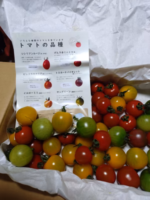 みんなの投稿の画像