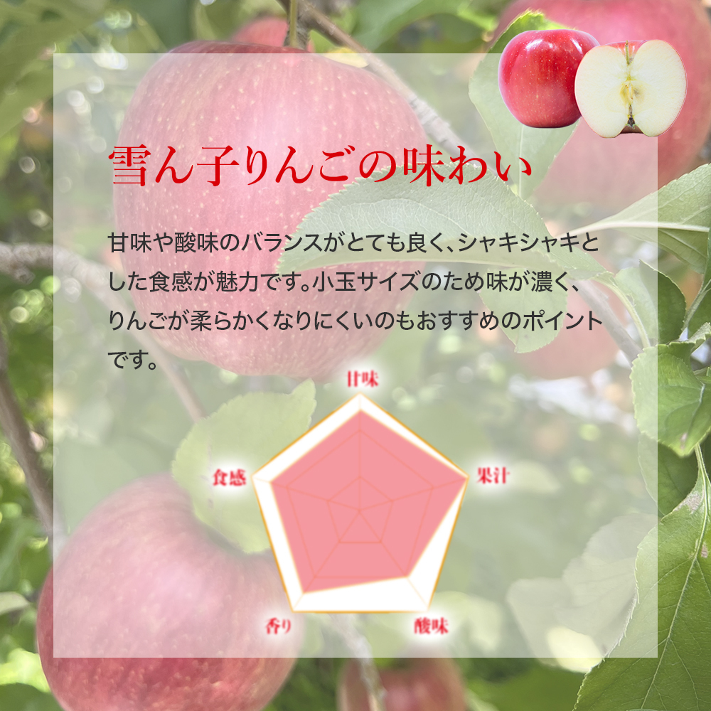 大人気！！順次発送自慢の雪んこりんご約4.5キロ｜りんごの商品詳細