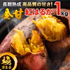 【都城産】長期熟成！宮崎産さつまいも紅はるか 1kg