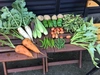 無農薬野菜セット　Mサイズ（8~10品）