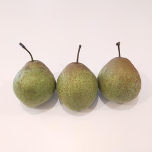 【あっさり＆すっきり】青森県産 中国ナシ〈家庭用〉