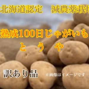 《3月限定・即完売商品》減農薬栽培 じゃがいも【熟成100日とうや　 訳あり品】
