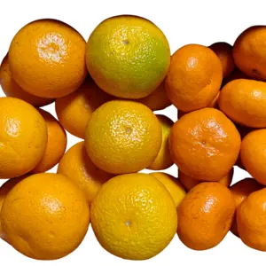 ファミぽん｜ふぁおの柑橘３種セット（八朔・スイートスプリング・金峰：ご家庭用5k