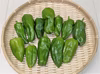 【夏のおススメ野菜】ピーマン　栽培期間中農薬不使用