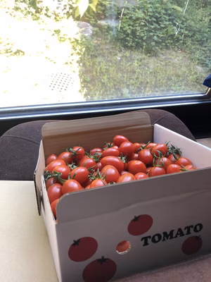 みんなの投稿の画像