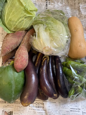 みんなの投稿の画像