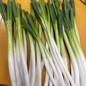ご家庭用に！2級白ネギ3キロセット！サイズばらばら