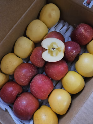 みんなの投稿の画像