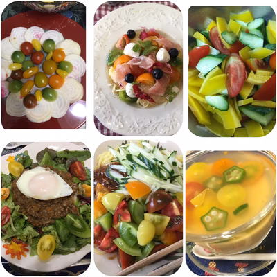 みんなの投稿の画像