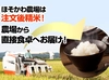  【令和2年産】新潟県産コシヒカリ　玄米（25kg）