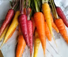 【農薬不使用】カラフル人参　旬の野菜のおまけ付き！