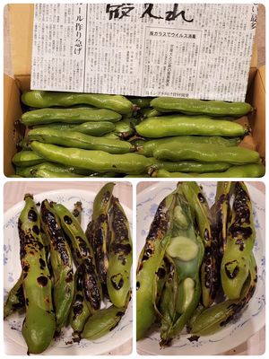 みんなの投稿の画像