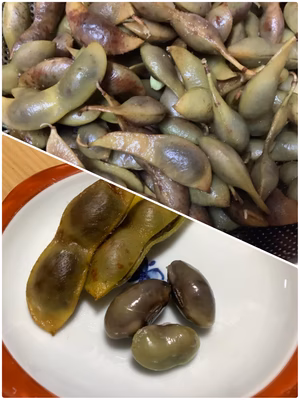 みんなの投稿の画像