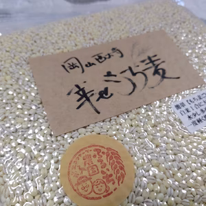 ★令和3年産★岡山西大寺幸せもち麦（キラリモチ）〇クリックポスト〇