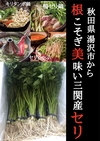 【三関産せり】せり 鍋 お歳暮 春セリ 鍋料理  きりたんぽ 秋田