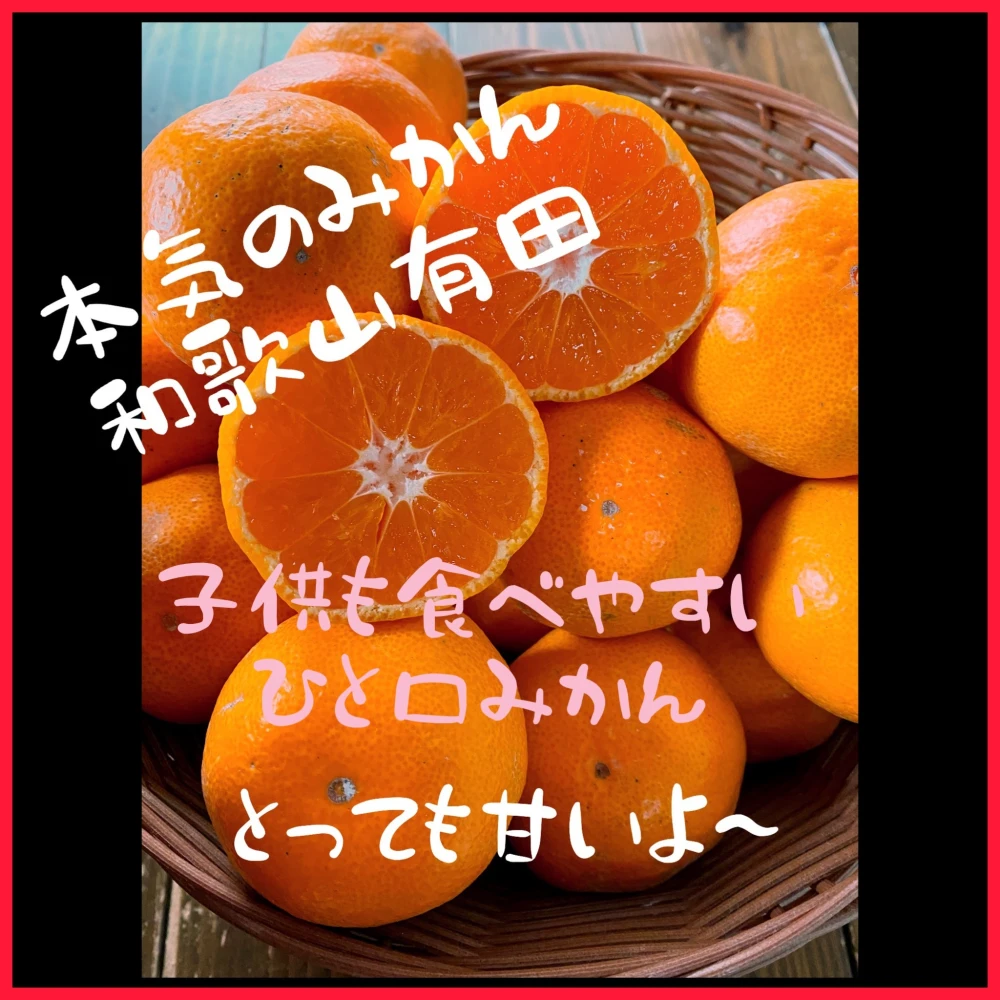 ✩SALE✩小玉 本気みかん 有田みかん 家庭用 ミカン