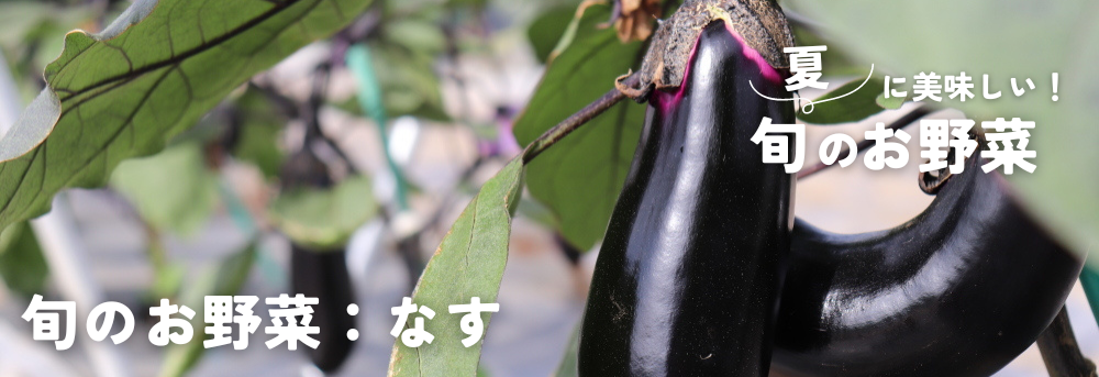 夏に旬の野菜 なす