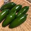 メキシコ唐辛子ハラペーニョ！