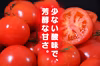 受賞歴３回！ソムリエトマト２.６kg（１２玉～２０玉)