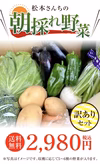 【訳あり】農園直送野菜セット 露地栽培で育った 野菜5～6種の詰め合わせ 減農薬