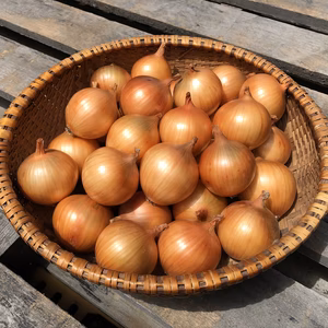 《長期保存可◎》淡路島産玉ねぎ5kg (Sサイズ)