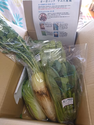 みんなの投稿の画像