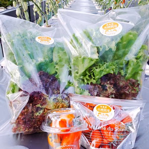 〈主婦の味方〉無農薬サラダセット①