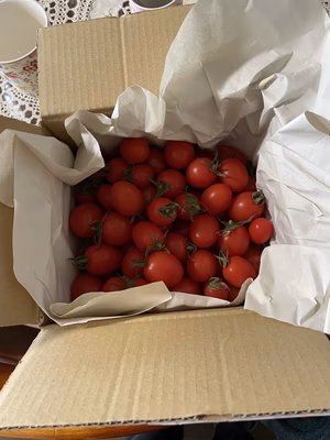 みんなの投稿の画像