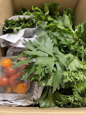 みんなの投稿の画像