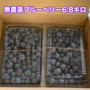 農薬不使用◆ブルーベリー6.8キロ