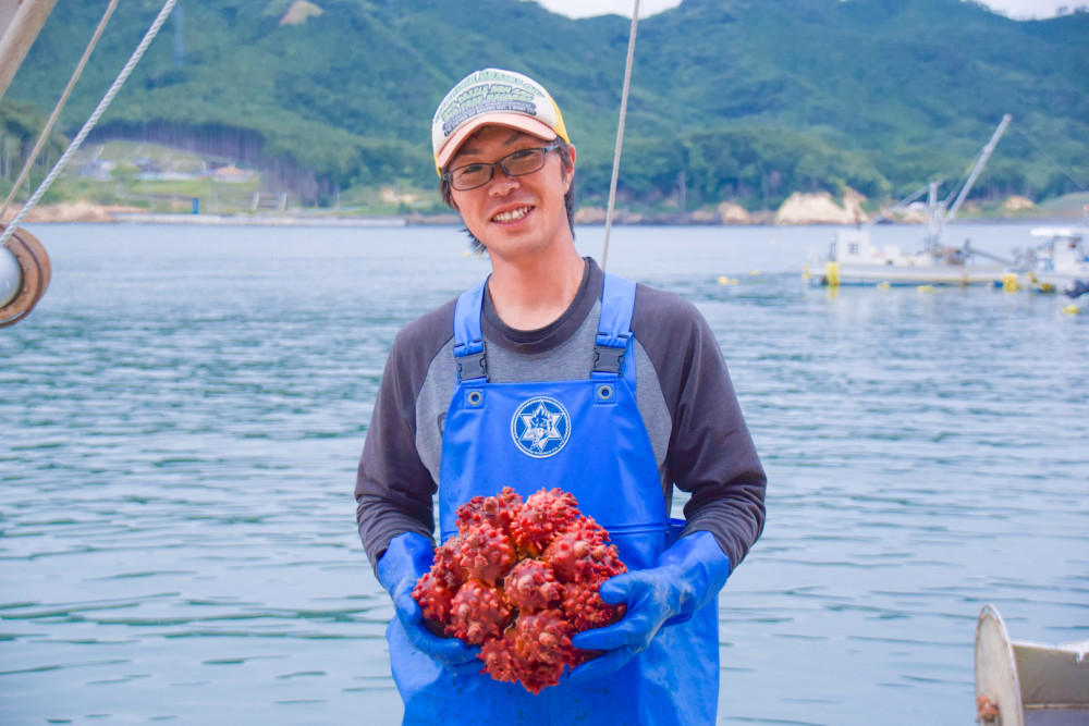 ホヤの簡単さばき方と漁師おすすめの食べ方 本当のホヤの美味しさを知ってほしい 農家漁師から産地直送の通販 ポケットマルシェ