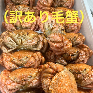 【条件付き】　毛蟹　訳あり　詰め合わせ1kg